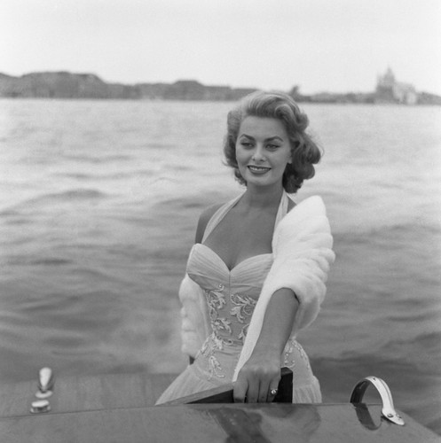 Sophia loren busty - sophia, 10x10