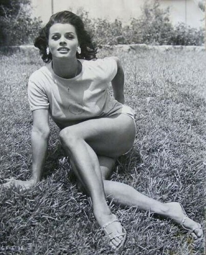 Sophia loren rare and - sophia,