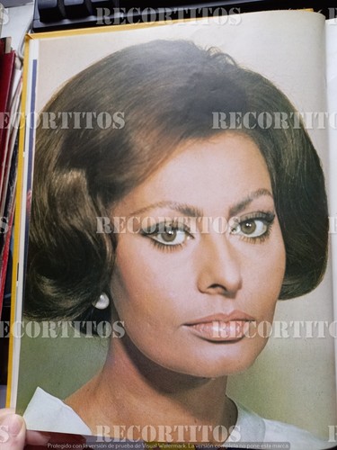 Clipping sofia loren pin - clipping,