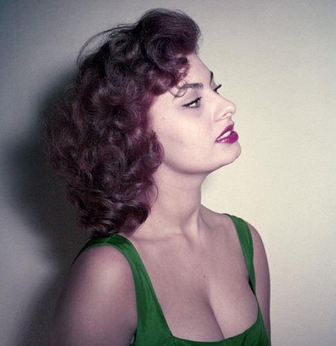 Sophia loren busty - loren,