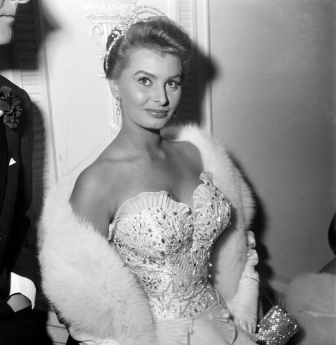 Sophia loren busty 10x10 - sophia,