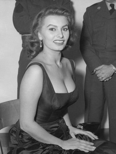 Sophia loren busty 8x10 - 8x10, giclee