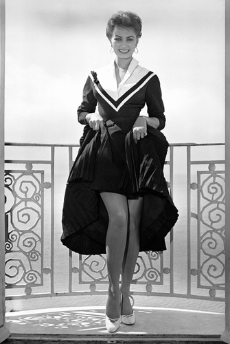 Sophia loren busty - sophia, leggy