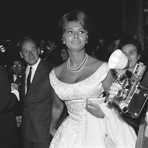 Sophia loren busty 10x10 - sophia,