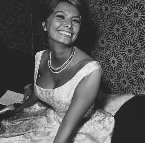 Sophia loren busty 10x10 - sophia,