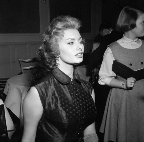 Sophia loren busty 10x10 - busty,