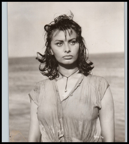 Hollywood beauty sophia loren - beauty,