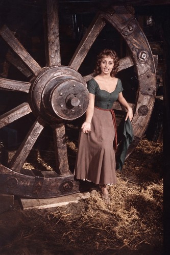 Sophia loren busty - sophia,