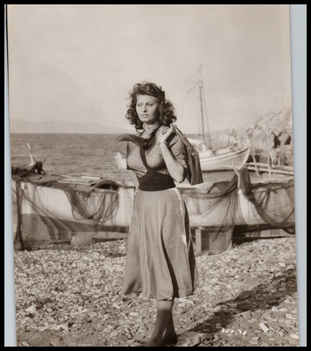 Hollywood beauty sophia loren - beauty,