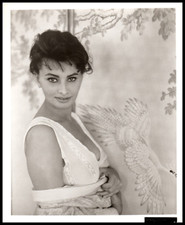 Hollywood Beauty SOPHIA LOREN