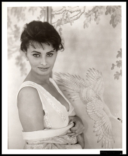 Hollywood beauty sophia loren - beauty,