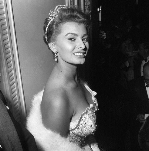 Sophia loren busty 10x10 - busty,