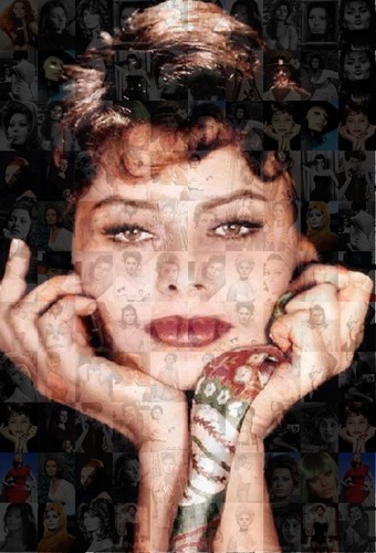 Sophia sofia loren photo - sophia,