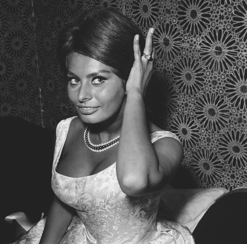 Sophia loren busty 10x10 - sophia,