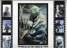 U-Pick Various Matted Displays