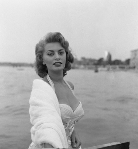 Sophia loren busty 10x10 - loren,