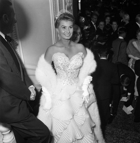 Sophia loren busty 10x10 - sophia,