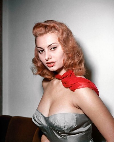 Sophia loren gorgeous busty - sophia,