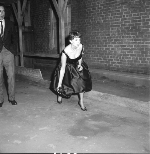 Sophia loren busty 10x10 - loren,
