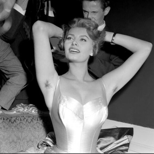 Sophia loren busty - sophia,