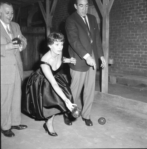 Sophia loren busty 10x10 - ,