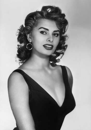 Sophia loren busty 8x12 - loren,