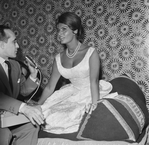 Sophia loren busty 10x10 - loren,