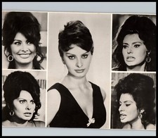 Hollywood Beauty SOPHIA LOREN