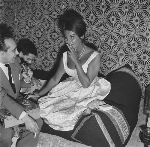 Sophia loren busty 10x10 - loren,