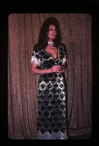 Sophia loren gorgeous busty - sophia,